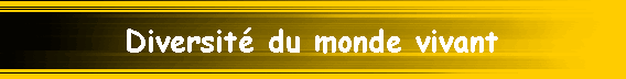 Diversit� du monde vivant