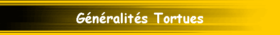 G�n�ralit�s Tortues