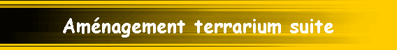 Am�nagement terrarium suite