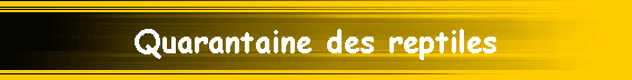 Quarantaine des reptiles