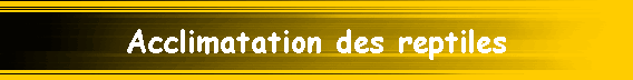 Acclimatation des reptiles